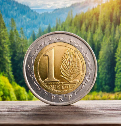 Lesson 1 – Identifying Different Types of Money